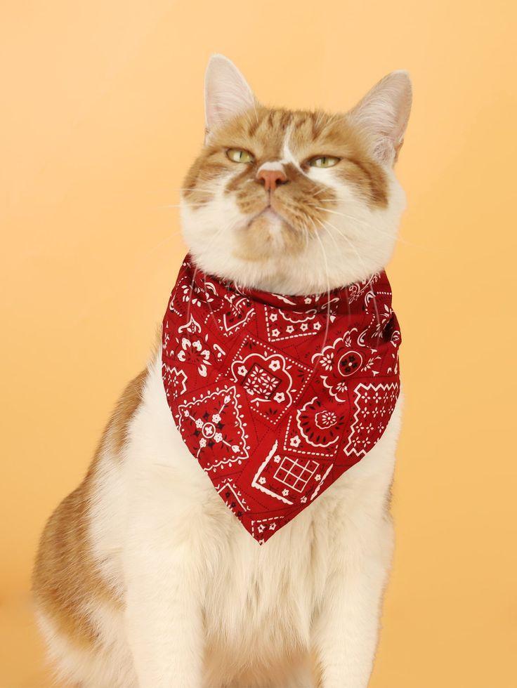 Flower Print Pet Bandana